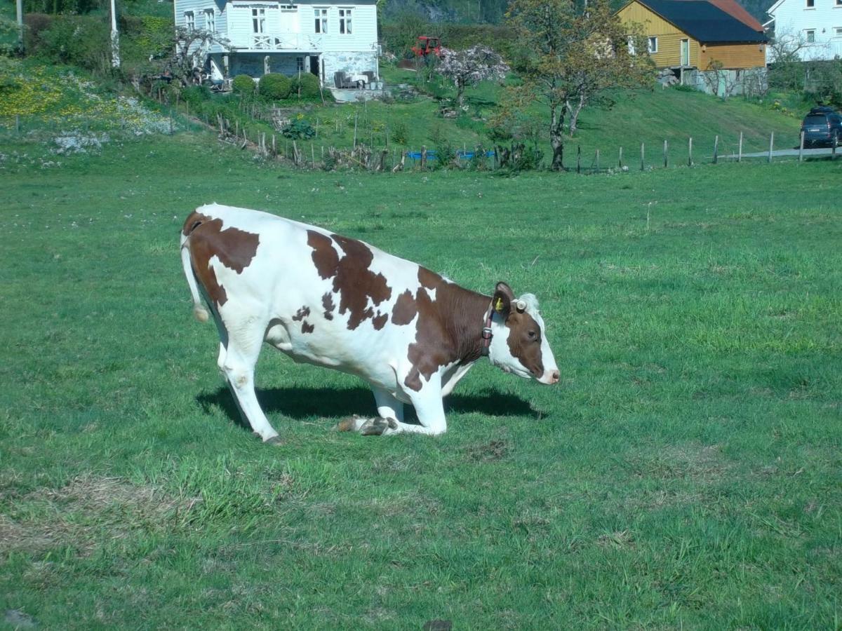 Mo Gardsferie Villa Øystese Esterno foto