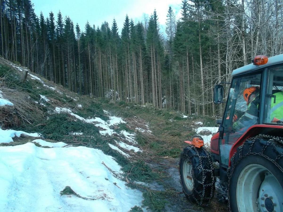 Mo Gardsferie Villa Øystese Esterno foto